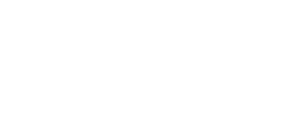 Chat Plane Pour Moi